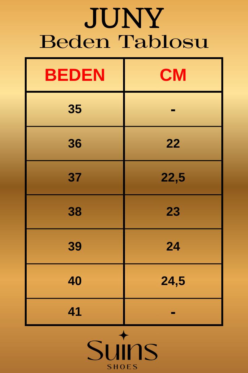 Suins Juny Kadın Önü Taşlı Galvaniz Topuklu Abiye Ayakkabı